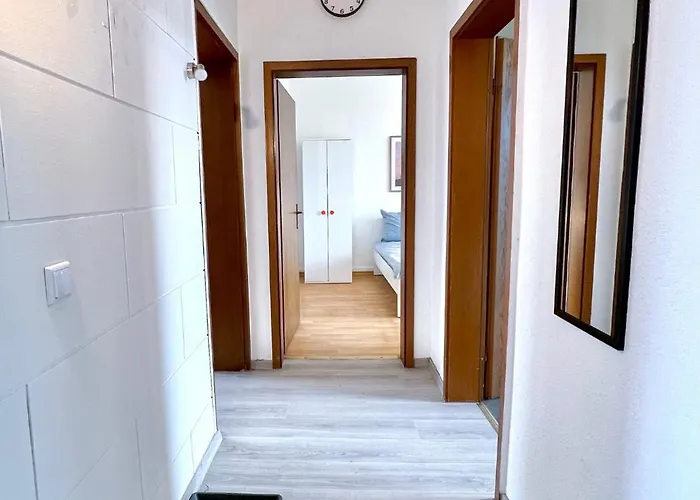 Bege Momentum دوسبرغ